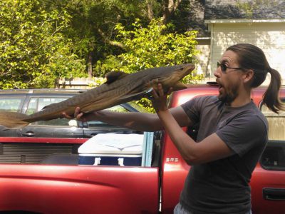 drew and tiger shark specimen