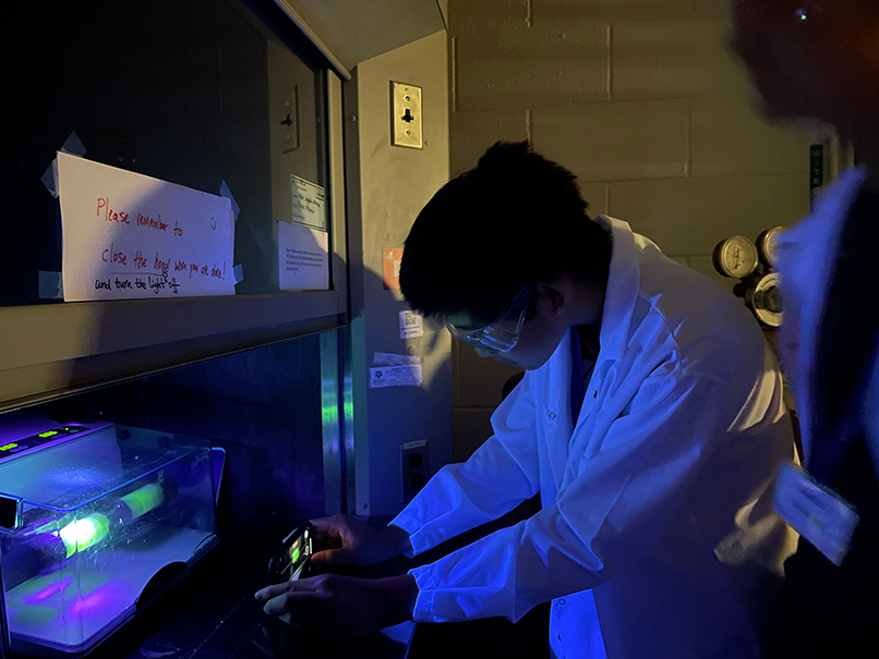 lab technician looking at equipment