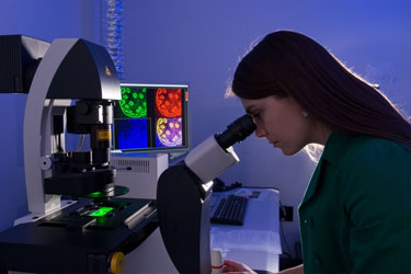 woman looking into lab microscope