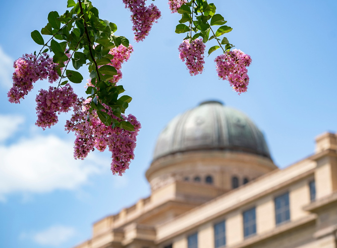 Exterior shot of the Academic Building on the Texas A&M University campus