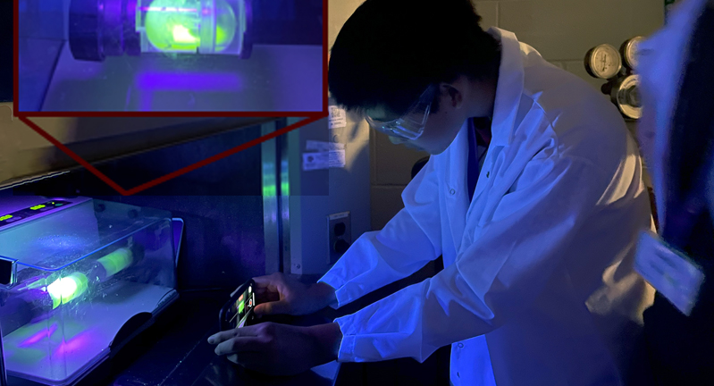 Composite image of students using a luminescent polymer to study how forces are distributed in a mechanochemical reactor, a close-up of which is included as an insert at top left of frame