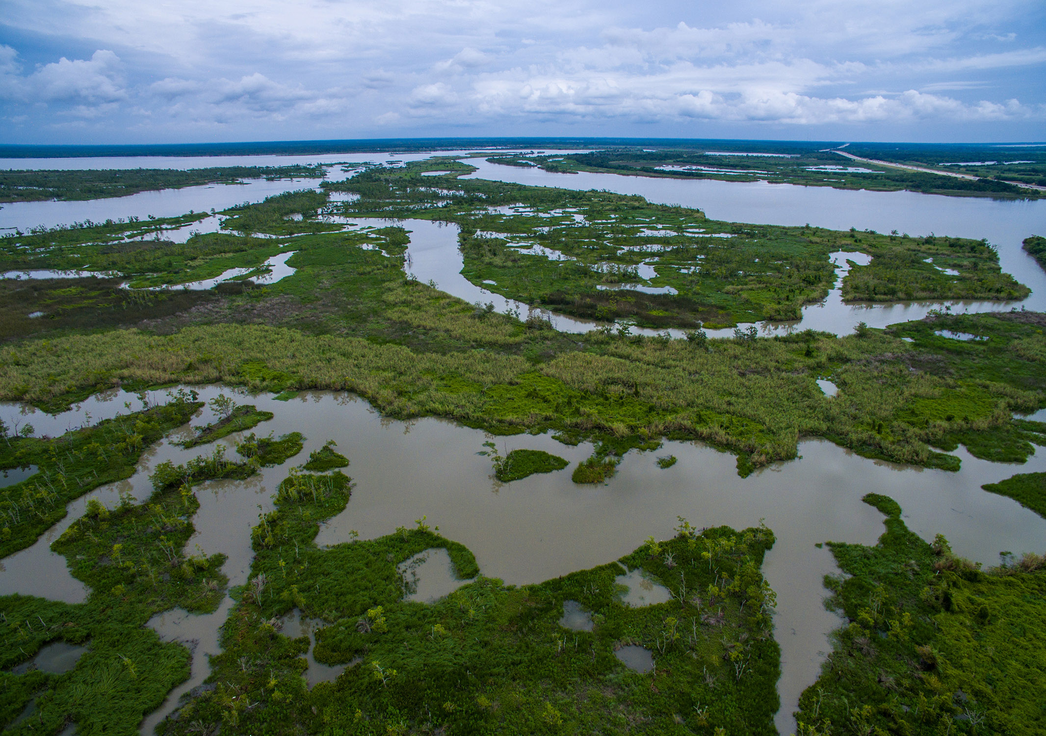 Aerial drone shot of swamp wetlands marsh delta near the Texas-Louisiana border