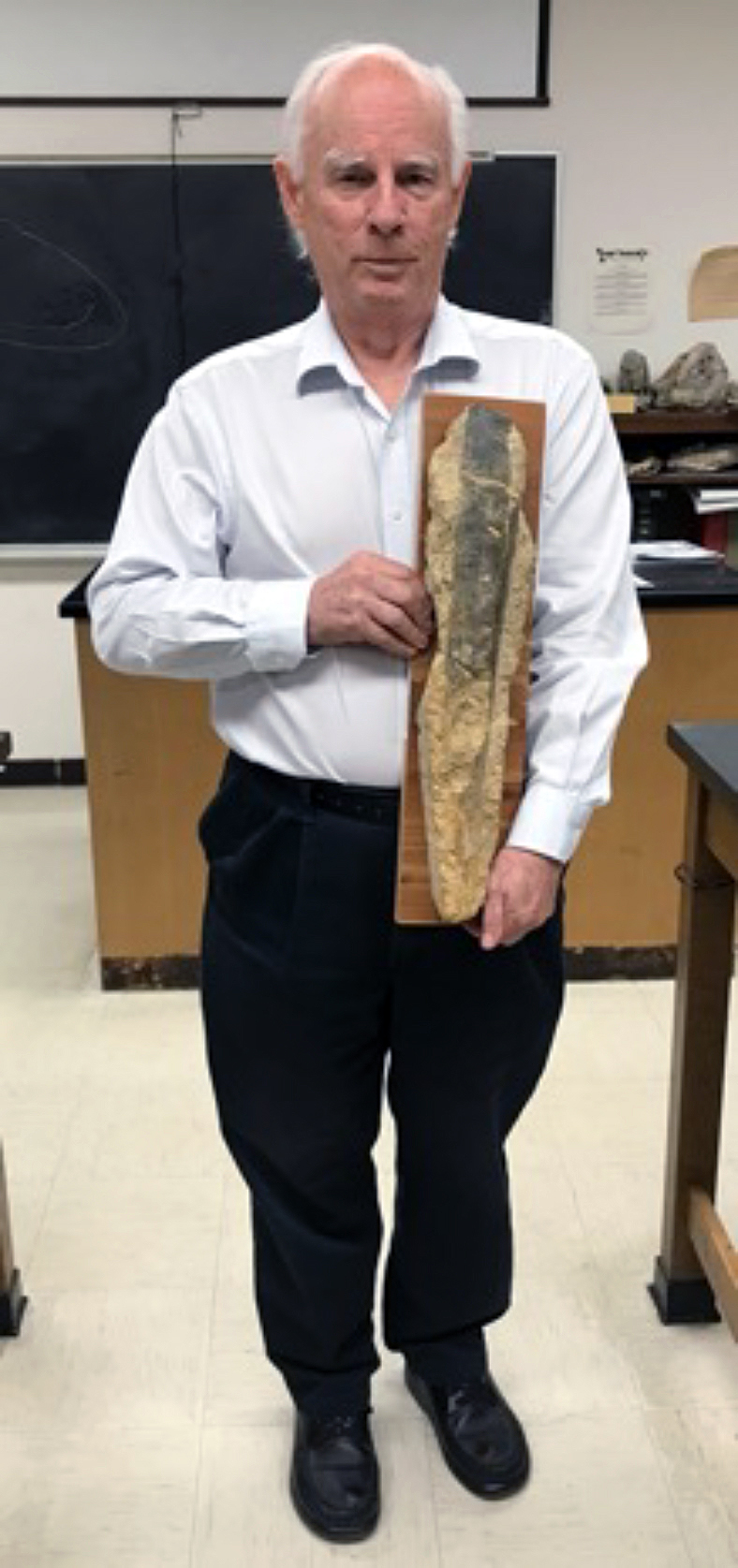 University of Texas at Arlington scientist Dr. Merlynd Nestell holds a Pinnidae fossil discovered by Robert Williams at the Lost Creek Spillway at Lake Jacksboro in Jacksboro, Texas