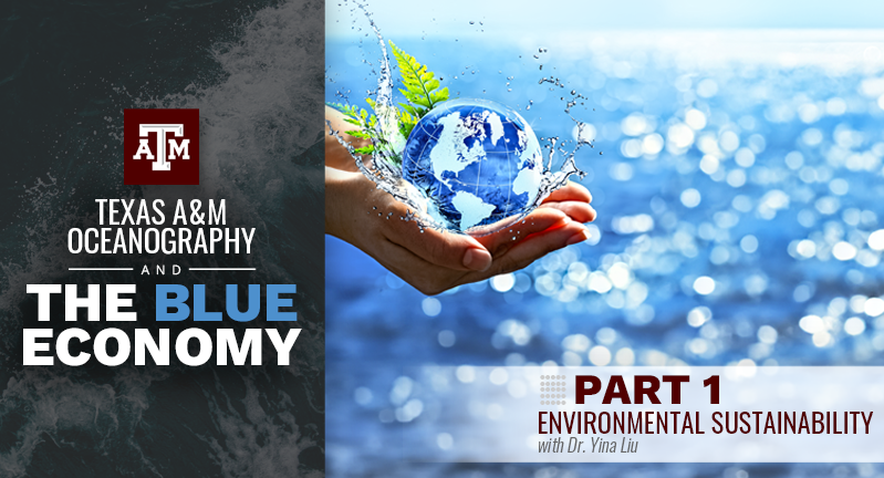 Promotional image for Texas A&M Oceanography and The Blue Economy, Part 1: Environmental Sustainability with Dr. Vina Liu. Features a person holding a transparent globe with water and continents, symbolizing environmental care, over a backdrop of sparkling ocean water.